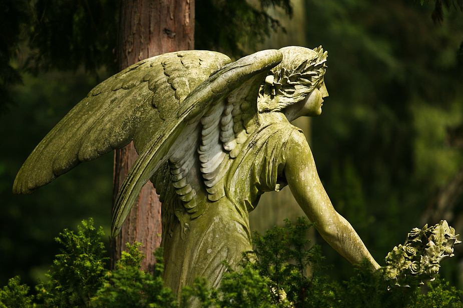 Dein persönlicher Schutzengel