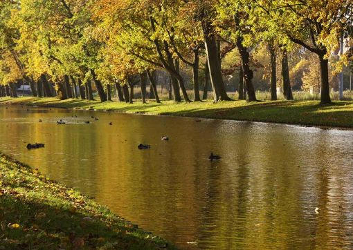 Zum Inhaltsverzeicnnis