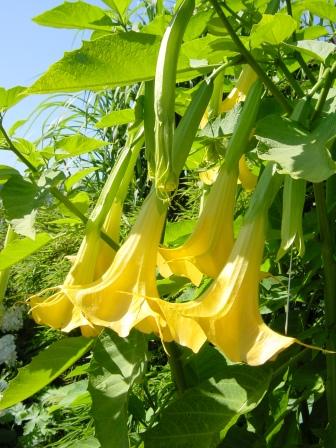 Eine wahre Geschichte über den Weg des Kreuzes